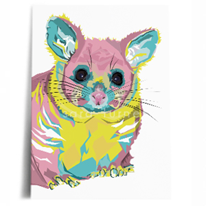 possum print