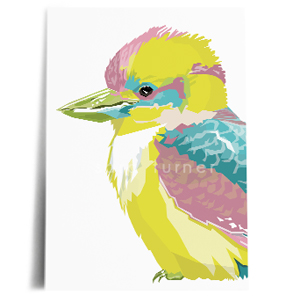 kookaburra print