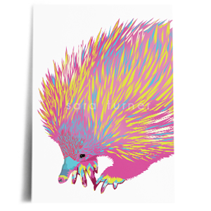 echidna print