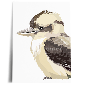 kookaburra print