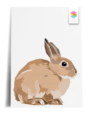 bunny print