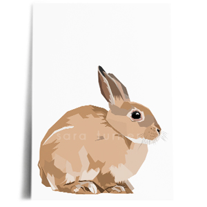 bunny print