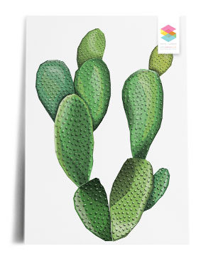 prickly-pear print