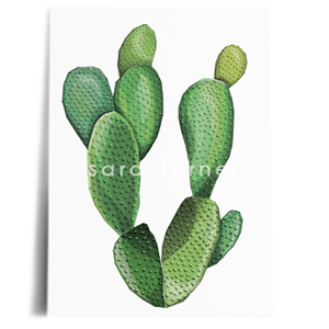 prickly pear print