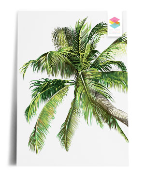 palm-tree print