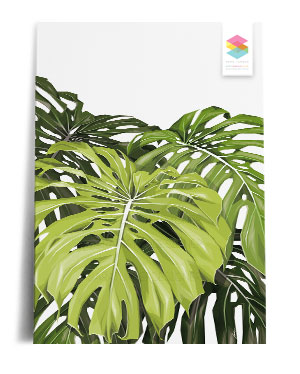 monstera print