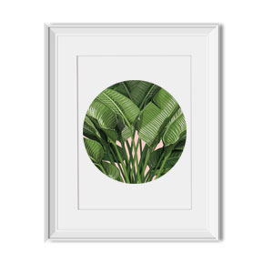 bird of paradise print