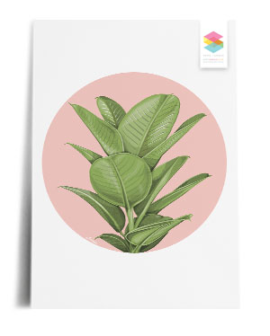 rubber-plant print