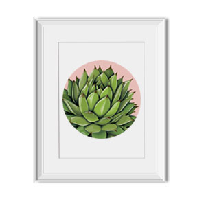 crassulaceae print