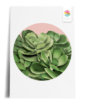 desert-cabbage print