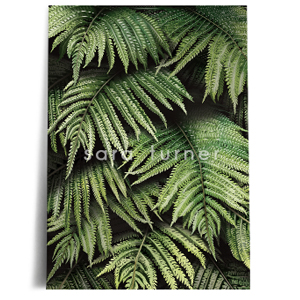 fern wall print