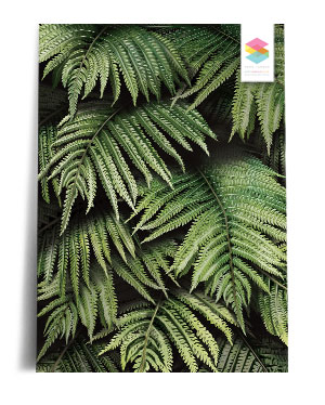 fern-wall print