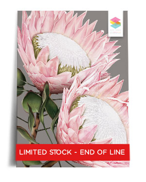 protea-grey print