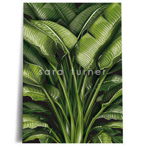 bird of paradise wall print