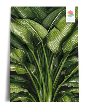 bird-of-paradise-wall print