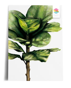 Fiddle-Leaf-Fig print