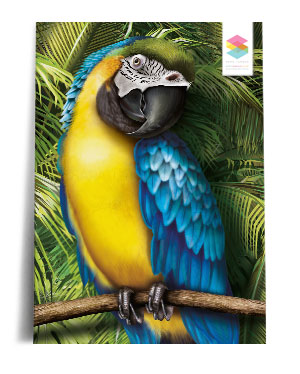 macaw print