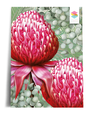 waratah wall white print