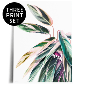 pink leaves trio print