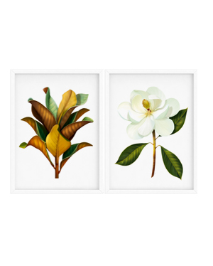 magnolia duo print