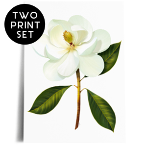 magnolia duo print