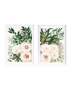 blush rose duo print