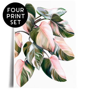 olive leaves collection print